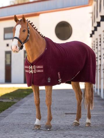Nieuwe Lemieux Arika Clima-Tek Rug Burgundy 198/145 beschikbaar voor biedingen