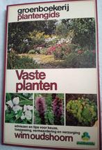 Vaste Planten, Ophalen of Verzenden, Zomer, Vaste plant, Overige soorten