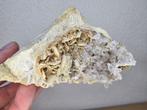 Kwarts met Bariet Banska Stiavnica, Slowakije, Verzamelen, Mineralen en Fossielen, Ophalen of Verzenden, Mineraal