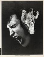 Elvis Presley 10, 1960 tot 1980, Verzenden, Foto, Nieuw