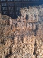 Hooi te koop, Dieren en Toebehoren, Ophalen of Verzenden, Vee