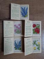J. Wix Kensitas Flowers zijden - 1934, Verzamelen, Ansichtkaarten | Themakaarten, Ongelopen, Ophalen of Verzenden, Natuur, Voor 1920