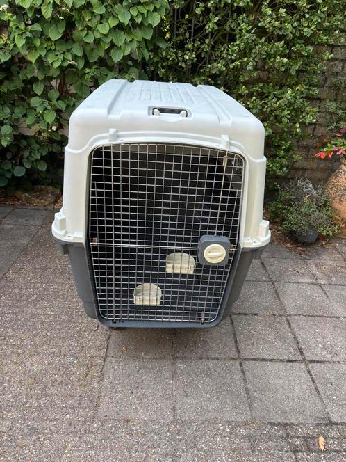 IATA transportbox voor grote hond XXL (reisbench), Dieren en Toebehoren, Transportboxen, Gebruikt, Ophalen