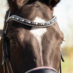 Monere equestrian frontriem zilver, Dieren en Toebehoren, Ophalen of Verzenden, Zo goed als nieuw, Dressuur