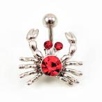 piercing, Navelpiercing, Staal, Birgitta-Gracht 33, 6465 EL Kerkrade, Nederland, Nieuw