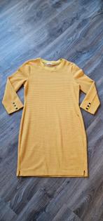 Nieuw jurk van anna van toor maat Xl, Kleding | Dames, Geel, Maat 42/44 (L), Nieuw, Ophalen of Verzenden