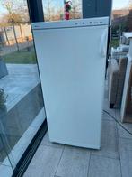 BLUCHER VK228 DIEPVRIEKAST, 120 tot 140 cm, Zo goed als nieuw, Energieklasse A of zuiniger, Ophalen