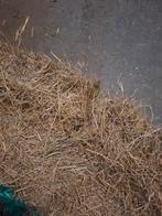 Kleine pakjes hooi, Ophalen, Vee