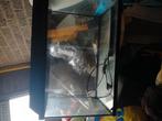 Glazen aquarium met licht, Dieren en Toebehoren, Ophalen of Verzenden, Zo goed als nieuw, Leeg aquarium