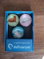 3 Glazen Magneten Dolfinarium, Ophalen of Verzenden, Nieuw