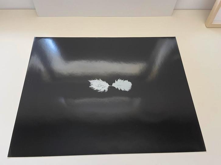 Grafiek van Henk Peeters genaamd Veertje, Antiek en Kunst, Kunst | Litho's en Zeefdrukken, Ophalen of Verzenden