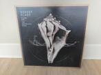 Robert Plant - Lullaby and The Ceaseless Roar - LP, Ophalen of Verzenden, Zo goed als nieuw, 12 inch, Poprock