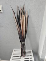 Set gedroogde palmbladeren / palmbladeren, Ophalen, Zo goed als nieuw