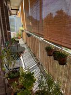 Nieuw bamboe rolgordijn 150x250, Ophalen, Bruin, 200 cm of meer, Bamboe