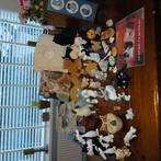 poezen collectie, Ophalen