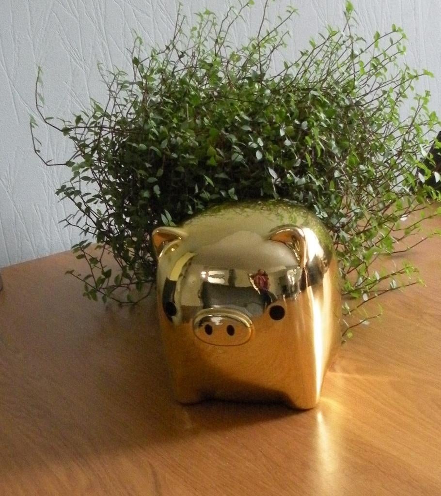 Groot goudkleurig spaarvarken, 20.5 cm. hoog, Verzamelen, Spaarpotten, Zo goed als nieuw, Dier, Steen, Aardewerk of Keramiek, Ophalen of Verzenden