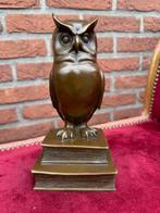 bronzen prachtbeeld, DE WIJZE UIL, Ophalen of Verzenden, Brons