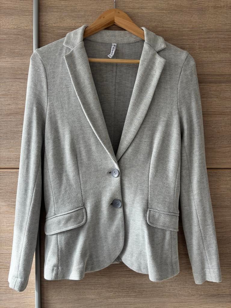Zoso Stijlvol Grijs Jasje - Zo Goed als Nieuw, Kleding | Dames, Maat 38/40 (M), Ophalen of Verzenden, Zo goed als nieuw, Jasje
