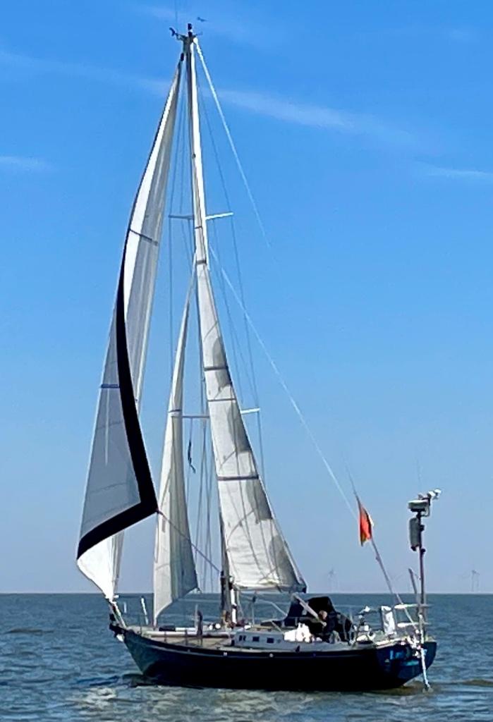 Koopmans 36 -One off, Watersport en Boten, Kajuitzeilboten en Zeiljachten, Ophalen, Gebruikt, Staal, Diesel