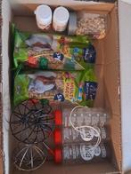 cavia assecoires, Februari, Mannelijk, Cavia