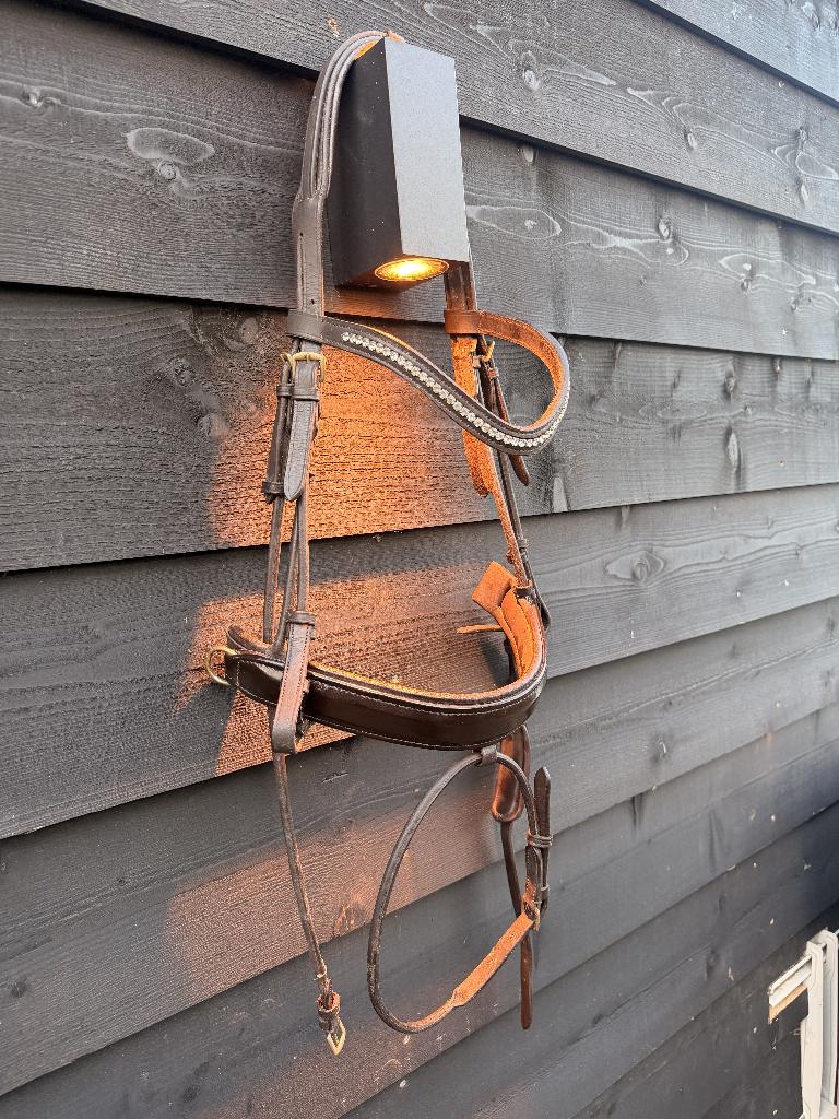 Premiere rondgenaaid hoofdstel te koop – in topstaat, Ophalen of Verzenden, Zo goed als nieuw, Dressuur