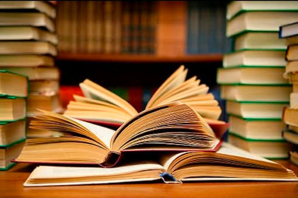 Ik zoek uw gelezen boek ! Ook Grote Partijen Boeken,, Boeken, Partijen en Verzamelingen, Ophalen of Verzenden, Gelezen