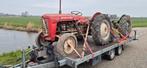 Massey Ferguson MF 35  2 stuks €1350,-, Massey ferguson, Glastuinbouw, Onbekend, Ophalen of Verzenden