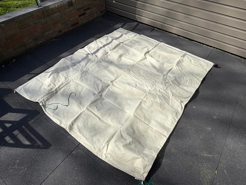 Bio Green plantenhoes (olijfboom), Volle zon, Ophalen of Verzenden, 100 tot 250 cm, Olijfboom