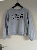 America Today Trui Maat 146-152 grijs, Ophalen, Zo goed als nieuw, Jongen of Meisje, Trui of Vest