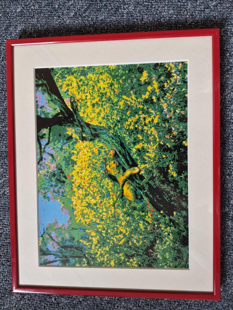 2x Zeefdruk Leeuw van Henk de Veth - Gesigneerd 1999, Antiek en Kunst, Ophalen of Verzenden