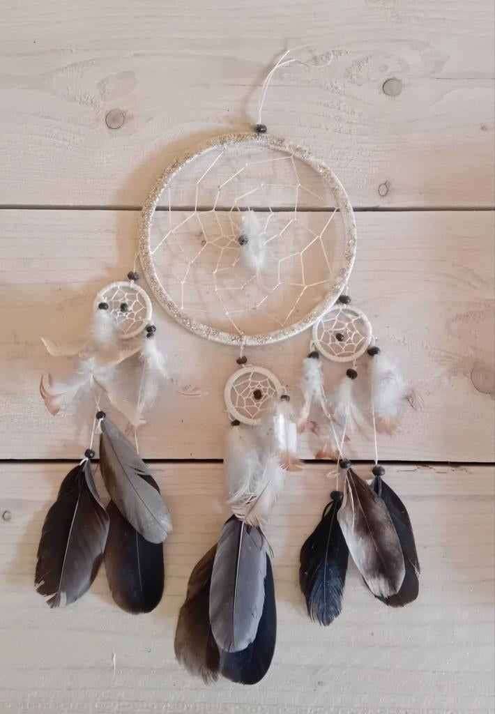 Dromenvanger wit en zilverglitter, Ophalen