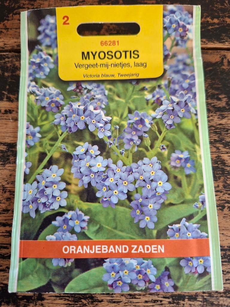 Vergeet-mij-nietjes zaad, Ophalen of Verzenden