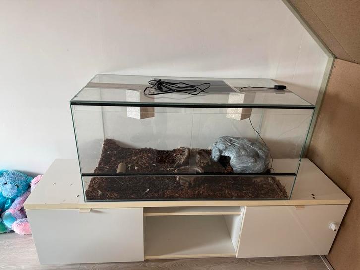 Terrarium, Dieren en Toebehoren, Reptielen en Amfibieën | Toebehoren, Ophalen of Verzenden