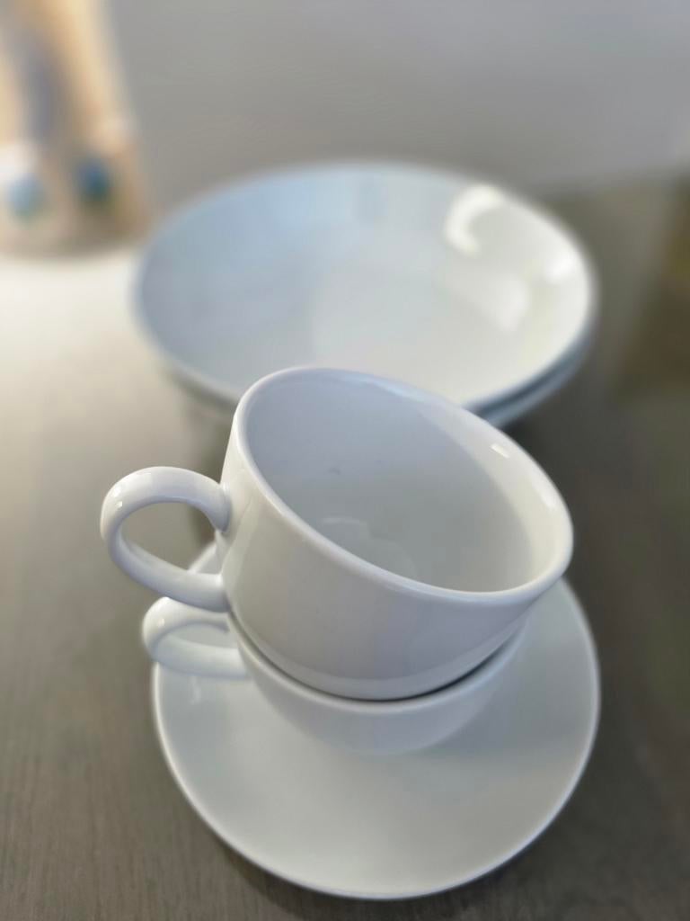 Villeroy en boch vivo borden en kopjes, Huis en Inrichting, Keuken | Servies, Ophalen of Verzenden, Zo goed als nieuw, Bord(en)