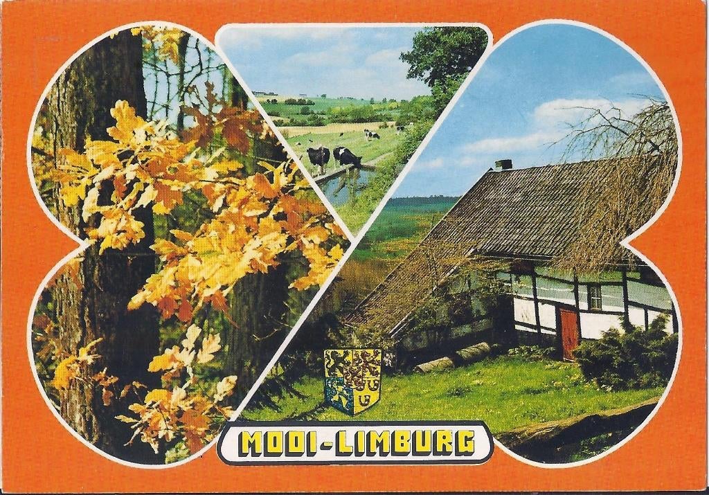 Limburg Gelopen Ansichtkaart ( A949, Verzamelen, Ansichtkaarten | Nederland, Ophalen of Verzenden, 1980 tot heden, Gelopen, Limburg