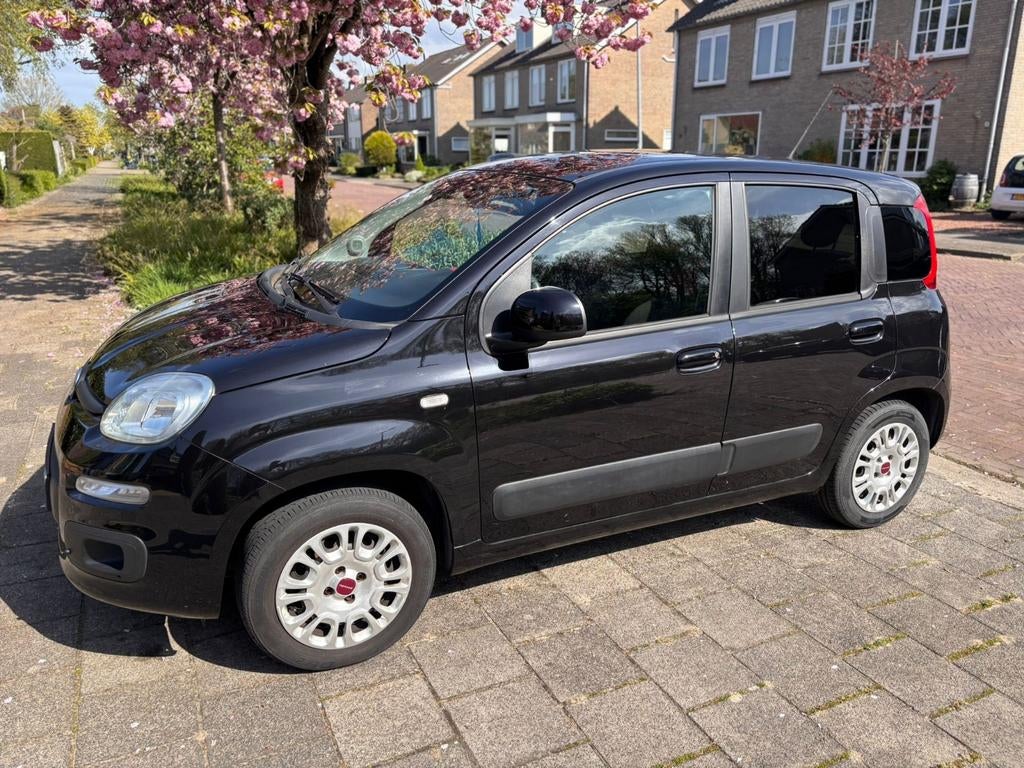 Fiat Panda 0.9 Twinair 59KW 2015 Zwart, Voorwielaandrijving, Stof, 31 €/maand, Panda