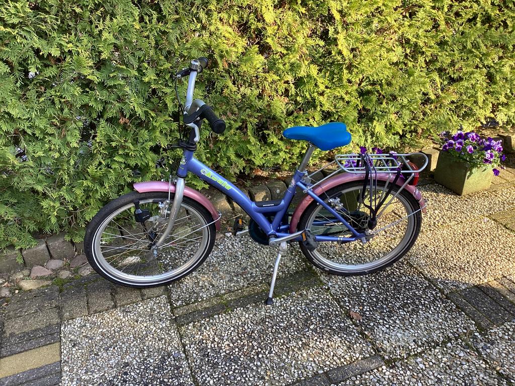 Kinderfiets 20 inch Batavus, Fietsen en Brommers, Ophalen, Gebruikt, 20 inch of meer