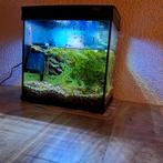 Aquarium compleet, Ophalen, Zo goed als nieuw, Leeg aquarium