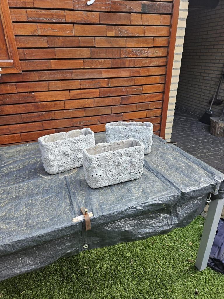 PTMD bloempotten / plantenbakken betonlook, 3 stuks, Tuin en Terras, Ophalen, Minder dan 30 cm, Minder dan 60 cm, Zo goed als nieuw