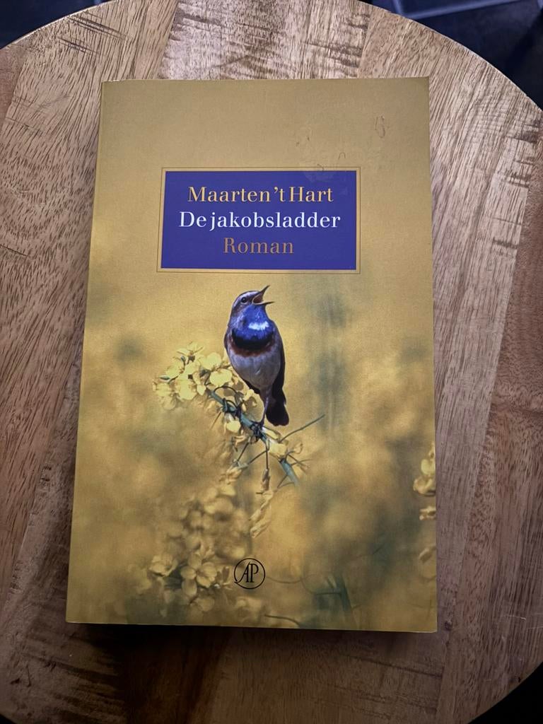 Maarten 't Hart - De Jacobsladder, Ophalen of Verzenden, Gelezen, Maarten 't Hart