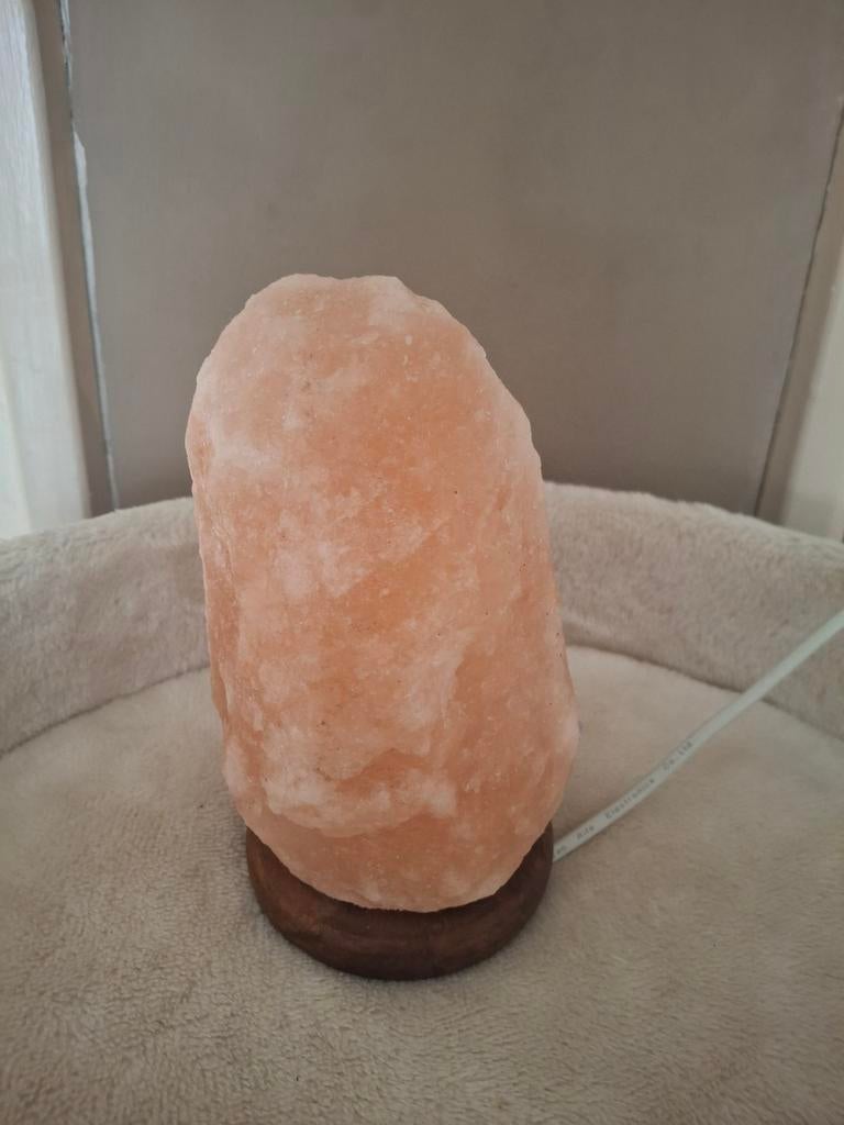 Zoute lamp, Ophalen of Verzenden, Minder dan 50 cm