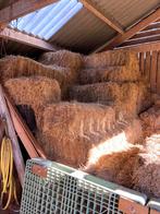 Pakjes hooi te koop, Dieren en Toebehoren, Stalling en Weidegang