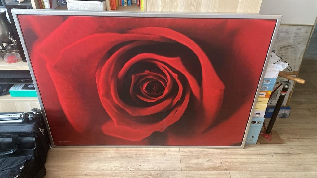 Roos in lijst, Ophalen, Minder dan 50 cm, Schilderij, Minder dan 50 cm