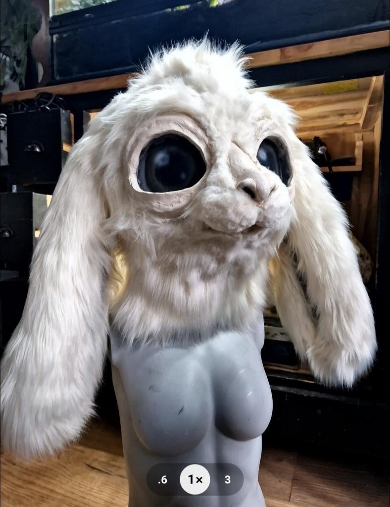 Kemono Falkor NeverEnding Story fursuit, Ophalen