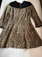 Zara Basic Luipaardprint Jurk met Kanten Details, Maat 38/40 (M), Overige kleuren, Ophalen of Verzenden, Zo goed als nieuw