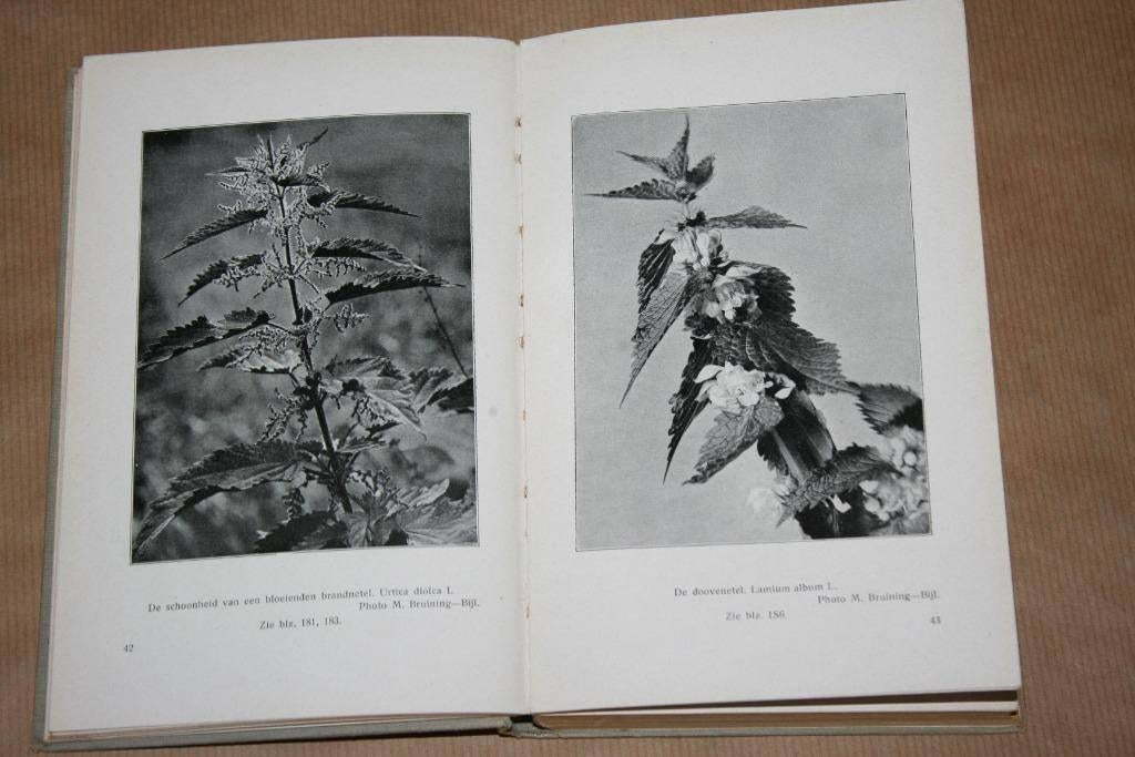 Bloemen - D.J. van der Ven - Oude uitgave 1916, Ophalen of Verzenden, Gelezen, Bloemen, Planten en Bomen