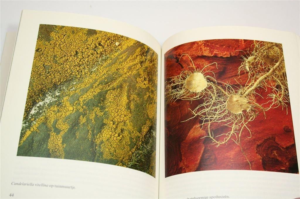 Korstmossen — Wonderlijke Planten uit de Natuur, Boeken, Ophalen of Verzenden, Gelezen, Bloemen, Planten en Bomen