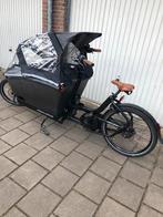 Urban Arrow family bakfiets 2023, Ophalen of Verzenden, Zo goed als nieuw, 4 kinderen of meer