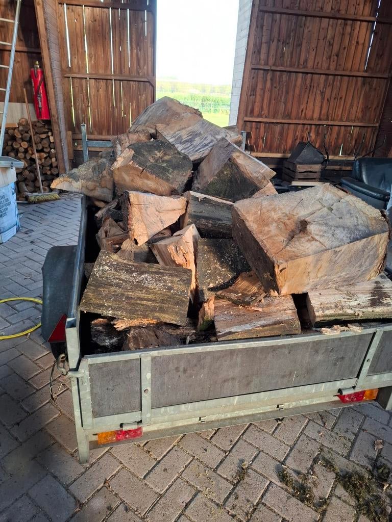 Oude boomstam, nog niet gedroogd, Minder dan 3 m³, Ophalen