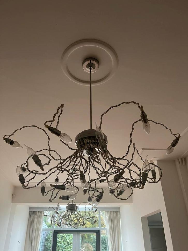 Luxe design kroonluchter in Heracleum stijl set van 2, Huis en Inrichting, Lampen | Hanglampen, Gebruikt, 50 tot 75 cm, Metaal